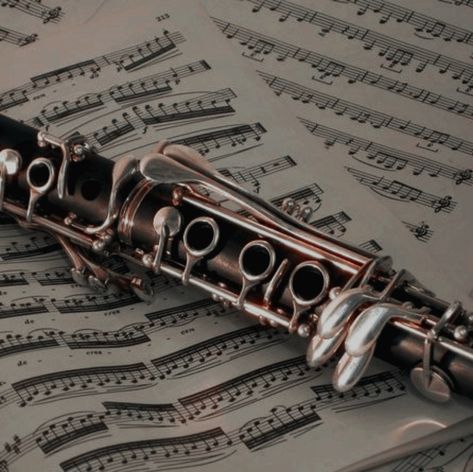 Dark Academia Instrument, Clarinet Aesthetic Vintage, High School Marching Band Aesthetic, Band Aesthetic High School, Clarinet Art, Instrument Aesthetic, Flute Aesthetic, Naruto High School, High School Marching Band