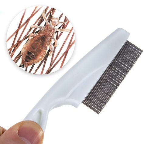 Metal Nit Comb Hair Handle Remove Head Lice Eggs Larvae Effectively Nits Removal, Lice Nits, Lice Eggs, Lice Removal, Head Louse, Hair Brushes, Comb Hair, Isles Of Scilly, Health And Fitness Tips