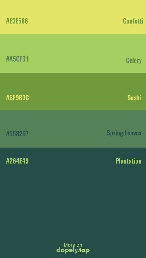 Color Palette Inspiration with Green. including these hex codes: #E3E566 #A5CF61 #6F9B3C #558257 #264E49 #dopely #green #colorpalette Green Palette Color Code, Color Pallets Greens, Green Rgb Palette, Olive Green Color Palette Hex Codes, Green Color Pallete Hex Code, Shades Of Green Hex Codes, Neon Green Hex Code, Dark Green Color Palette Hex Codes, Color Combo For Green