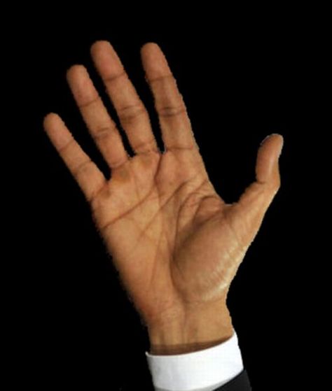 obama-palm-hand Hand Reference Open Palm, Open Palm Reference, Palm Of Hand, Open Palm, Hand Palm, Hand Reference, Male Hands, Free Coffee, Visual Development