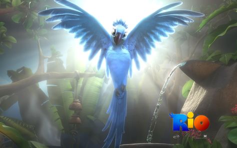 Rio Film Rio, Happy New Year Facebook, Rio 2011, Rio Movie, Htc Wallpaper, Rio 2, Blue Macaw, Twitter Backgrounds, Crazy Wallpaper