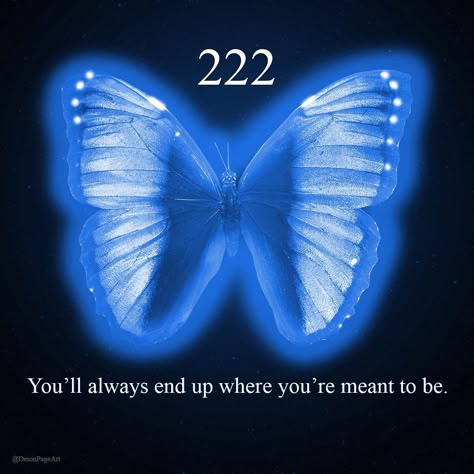 Divine Timing Wallpaper, Divine Timing Quotes, Aura Quotes, Angel Number Meanings, Divine Timing, Energy Art, Number Meanings, Mystical World, Manifestation Board