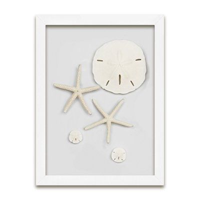 Sand Dollar Decor, Shell Displays, Seashell Diy, Shell Projects, Nautical Ideas, Seashell Projects, Medallion Wall Decor, Beach Bathroom, Family Wall Decor