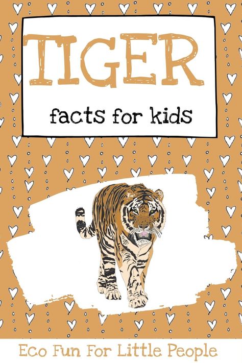 Tiger School Project Ideas, Tiger Unit Study, Tiger Day Activities For Kids, Tiger Activities For Preschool, Tiger Facts For Kids, Tiger Snacks, April Themes, South China Tiger, Habitat Activities