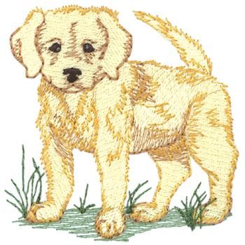 Golden Retriever Embroidery, Puppy Embroidery, Machine Embroidery Designs, Embroidery Design, Design Projects, Design Details, Golden Retriever, Machine Embroidery, Embroidery Designs