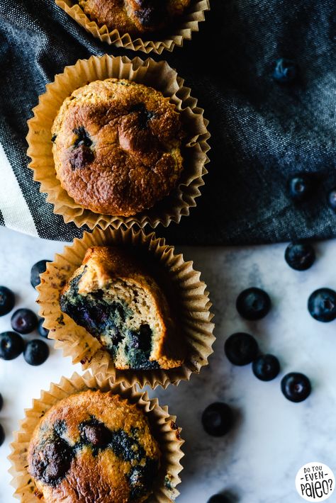 Picture for paleo blueberry protein muffin recipe with four muffins, linens, and scattered blueberries. Protein Muffin Recipe, Paleo Breakfast Muffins, Muffins Protein, Dairy Free Protein Powder, Paleo Blueberry Muffins, Chocolate Protein Muffins, Blueberry Protein Muffins, Keto Blueberry Muffins, Protein Muffin Recipes