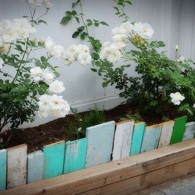 Wood Edging, Flower Bed Edging, Diy Garden Bed, Recycled Glass Bottles, Reclaimed Wood Projects, Edging Ideas, Landscape Edging, Lawn Edging, Pallet Garden