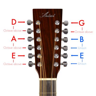 How to tune a 12 string guitar Acoustic Guitar Chords, 12 String Acoustic Guitar, 12 String Guitar, Music Theory Guitar, Guitar Tabs Songs, Acoustic Guitar Lessons, Not Musik, Guitar Diy, Guitar Fretboard