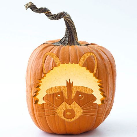 40 Creative Pumpkin Carving Ideas via Brit + Co. Raccoon Pumpkin, Makijaż Sugar Skull, Diy Pumpkin Carving, Awesome Pumpkin Carvings, Printable Pumpkin Stencils, Pumpkin Carving Patterns Free, Pumpkin Carving Stencils Free, Pumpkin Stencils Free, Dekorasi Halloween