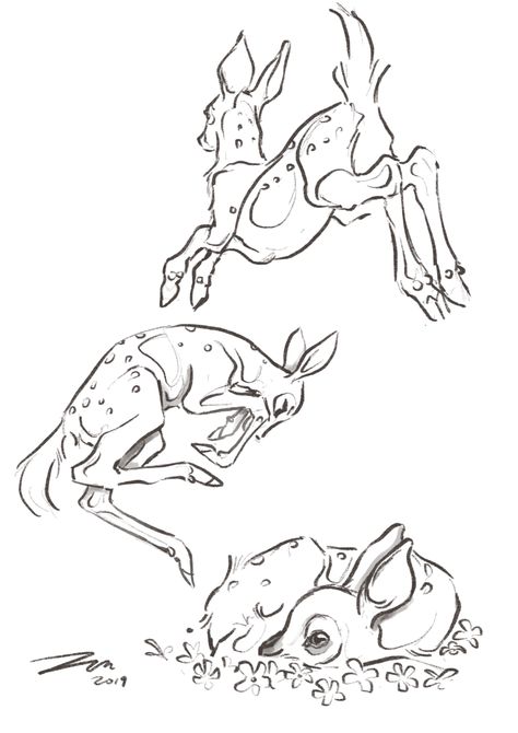 Deer Curled Up, Deer Standing Drawing, Deer Jumping Drawing, Jumping Deer Drawing, Deer Anatomy Drawing Reference, White Tailed Deer Drawing, How To Draw Deer Legs, Deer Hooves Drawing, Deer Laying Down Reference