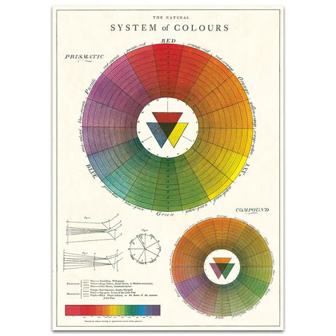 Cavallini Vintage Poster 22" x 28" The Natural System of Colour Color Wheel Art, Three Primary Colors, Poster Hanger, Vintage School, Poster Colour, Hanging Posters, National Gallery, Paint Print, Color Wheel