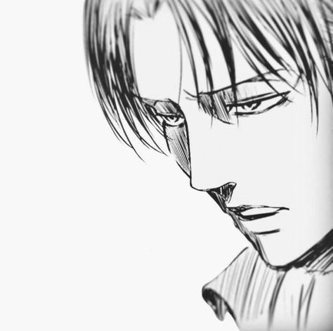 Levi Ackerman Face, Levi Pictures, Levi Fanart, Levi Ackermann, Levi Mikasa, Anime Hands, Captain Levi, Attack On Titan Levi, Eren Jaeger