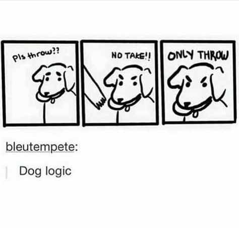 Dog Logic, Really Funny Memes, Funny Comics, Logic, Really Funny, Fur Babies, Peanuts Comics, Vault Boy, Funny Memes