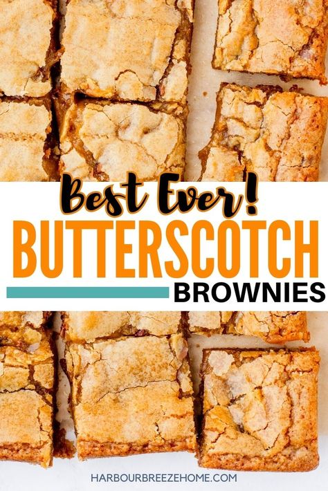 These soft & chewy butterscotch brownies were a yearly Summer camp tradition the campers went wild for! Mix them up quick with simple ingredients in just one bowl. Brownie Blondie, Butterscotch Brownies, Butterscotch Recipes, Butterscotch Blondies, Cookie Dough Cake, Blondies Recipe, Butterscotch Chips, Chocolate Dessert Recipes, Köstliche Desserts