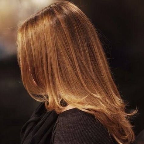 Honey Blonde Hair, Honey Hair, 짧은 머리, Hair Inspo Color, Honey Blonde, Dream Hair, Aesthetic Hair, العناية بالشعر, Hair Highlights