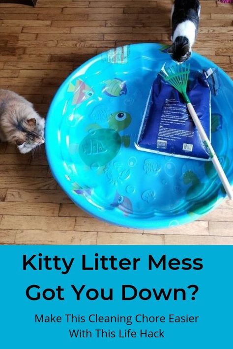 Kitty litter got you down? This genious cleaning idea will make you chore so much easier diy | diy kitty litter | life hack | pet hacks | diy kitty litter | litter | diy pets | pet litter | Outdoor Cat Litter Box Ideas Yards, Diy Sifting Litter Pan, Diy Large Cat Litter Box Ideas, Cat Litter Hacks, Diy Kitty Litter, Litter Box Hacks, Plastic Kiddie Pool, Diy Cat Litter Box Ideas, Cat Liter