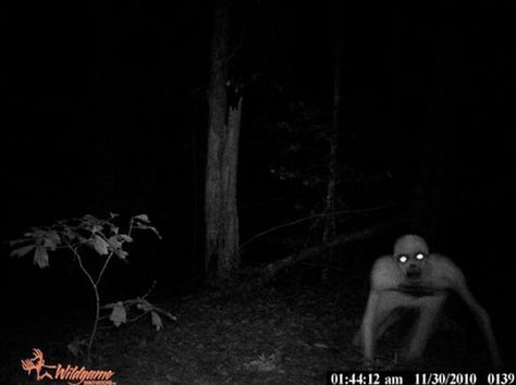 Scary! Wendigo Real, Terrifying Pictures, Images Terrifiantes, Trevor Henderson, Scary Monster, Monster Pictures, Unexplained Mysteries, The Rake, The Boogeyman