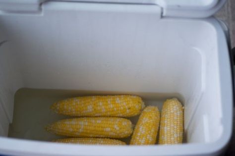 Cooking Corn in a Cooler for a crowd.  Done in 30 mins Cooler Corn, Corn Recipes Cob, Growing Sweet Corn, Can Corn, Pto Today, Cook Corn, Room Parent, She Cooks, How To Cook Corn