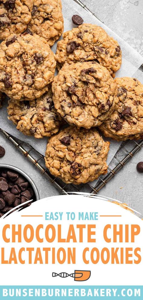 Breastmilk Cookies Recipes, Diy Lactation Cookies, Oatmeal Chocolate Chip Lactation Cookies, Oatmeal Lactation Recipes, Vegan Lactation Cookies, Breastfeeding Cookies Milk Supply, Homemade Lactation Cookies, Breast Milk Cookies, Sourdough Lactation Cookies