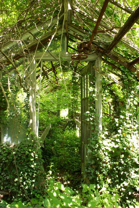 Old green house caumsett park Abandoned Greenhouse, Old Greenhouse, What Is A Conservatory, Overgrown Garden, Plant Watering System, Greenhouse Supplies, Conservatory Greenhouse, Magic Places, Greenhouse Growing