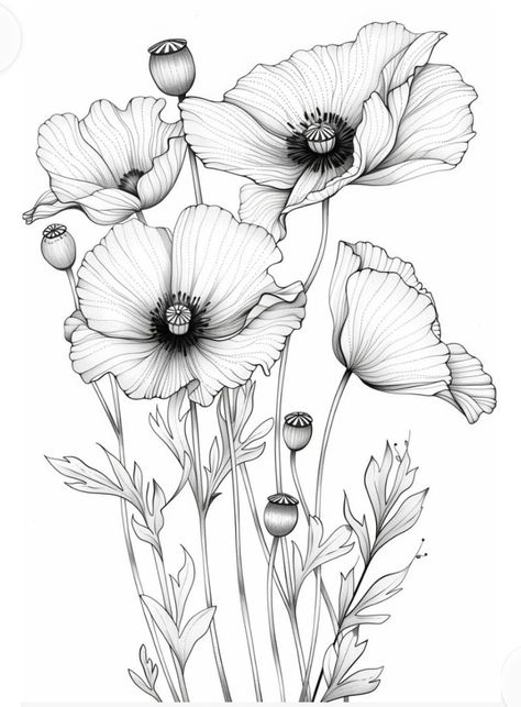 Poppies Coloring Pages, Painting Outlines Free Printable, Poppy Flower Outline, Drawing Poppies, Poppy Outline, Poppies Drawing, Poppies Illustration, Poppy Illustration, Poppy Flower Drawing