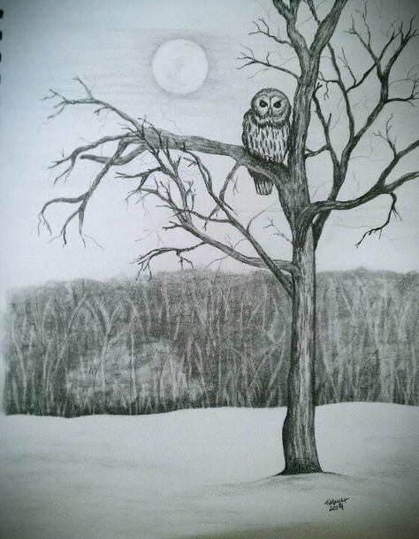 Winter owl scene pencil sketch by K. Meyer. drawing, art, owl Owl On A Tree Drawing, Owl On Tree Branch Drawing, Owl In Tree Drawing, Winter Drawing Ideas Sketch, Winter Tree Drawing, Tree Trunk Drawing, Christmas Watercolors, Branch Drawing, Owl Sketch