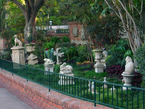 There is a fake pet cemetery hidden behind the Haunted Mansion. Things To Do At Disneyland, Pet Cemetary, Halloween Forest, Halloween Cemetery, Plant Inspiration, Haunted Mansion Halloween, Haunted Mansion Disneyland, Foolish Mortals, Pet Cemetery