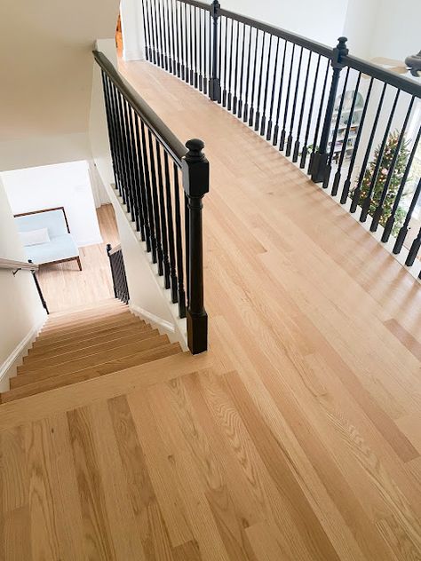 Natural Red Oak Hardwood Floors, Red Oak Hardwood Floors Stains, Oak Hardwood Floors Colors, Red Oak Wood Floors, Hardwood Floor Stain Colors, Oak Floor Stains, Floor Stain Colors, Wood Floor Stain Colors, Natural Oak Flooring