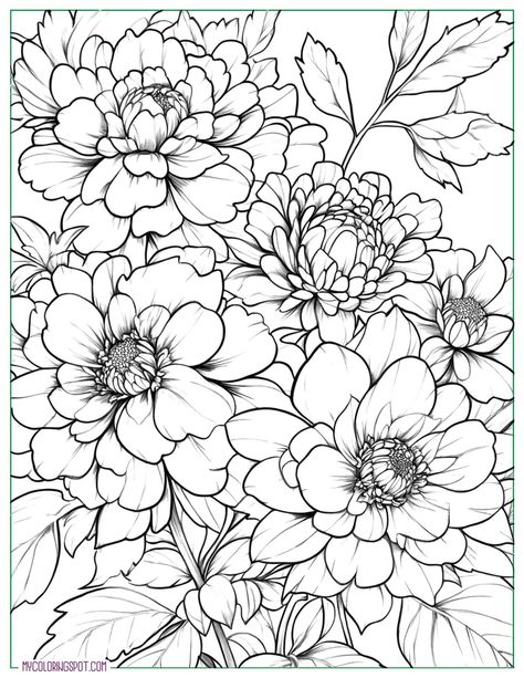 58 Free Flower Coloring Pages for All Ages Hibiscus Flower Outline, Simple Flower Coloring Pages, Simple Flower Coloring, Outline Coloring Pages, Flower Coloring Sheets, Flowers Coloring Pages, Mindfulness Colouring, Coloring Mandalas, Coloring Pages For Grown Ups