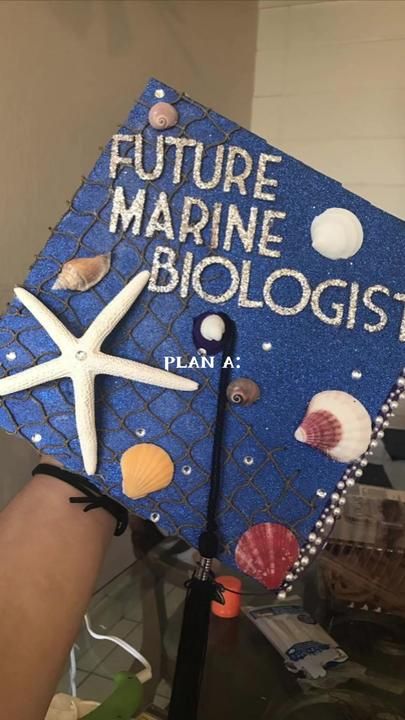 Preppy Marine Biologist, Marine Biologist Tattoo Ideas, Marina Biologist Aesthetic, Marine Biologist Vision Board, Marine Biologist Quotes, Maine Biology Aesthetic, Marine Biologist Graduation Cap, Marine Biologist Bedroom, Future Marine Biologist