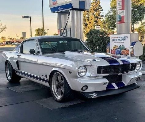 66 Mustang, 1967 Mustang, مرسيدس بنز, Aesthetic Cool, Ford Mustang Car, 1966 Ford Mustang, Ford Mustang Fastback, Classic Mustang, Custom Muscle Cars