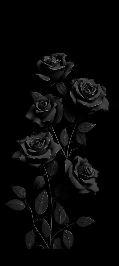 Dark Aesthetic Wallpaper Homescreen, Black And White Ipad Wallpaper Aesthetic, Lock Screen Wallpaper Iphone Cute Dark, Black Iphone Wallpaper Aesthetic, Black Roses Background, Dark Flower Aesthetic Wallpaper, Dark Flower Background, Homescreen Layout Iphone Dark, Black Asthetics Photos