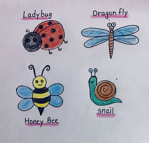 Easy to draw insects How To Draw Insects, Draw Insects, Insects For Kids, English Grammar Exercises, Easy Art For Kids, Grammar Exercises, Easy To Draw, Painted Rocks Diy, Easy Art