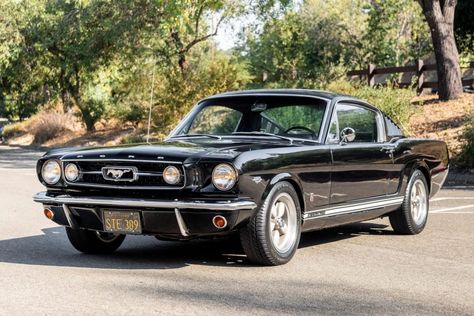 1966 Ford Mustang GT Fastback (Raven Black, 289ci V8, 4-speed) Black 1966 Mustang, Black 1965 Mustang, 1965 Black Mustang, 1969 Black Mustang, Black Ford Mustang 1967, 1965 Fastback Mustang, 1965 Ford Mustang Fastback, 1966 Ford Mustang Fastback, 65 Mustang Fastback