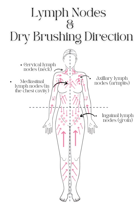 Dry Brushing For Lymphatic Health How To Dry Brush, Lymph Drainage Massage, دورة شهرية, Lymph Massage, Lymph Drainage, Feminine Health, Lymph Nodes, Dry Brush, روتين العناية بالبشرة