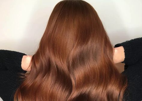 20 Ways to Wear Auburn Brown Hair Color Red Violet Hair Color, Hair Color Auburn Brown, Brown Auburn Hair, Red Violet Hair, Violet Hair Colors, Reddish Brown Hair, Auburn Brown, Medium Brown Hair, Hair Color Caramel