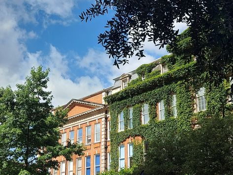 Kings College London Guys Campus, Kings College London Aesthetic, Kings College London, Uni Aesthetic, Campus Aesthetic, Kings College, King's College London, College Guys, King's College