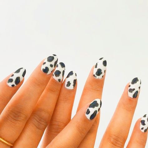 Cow Nails, Edgy Nails, Nail Style, Nails Polish, Summer Acrylic Nails, A Cow, 2020 Fashion, Dream Nails, Funky Nails