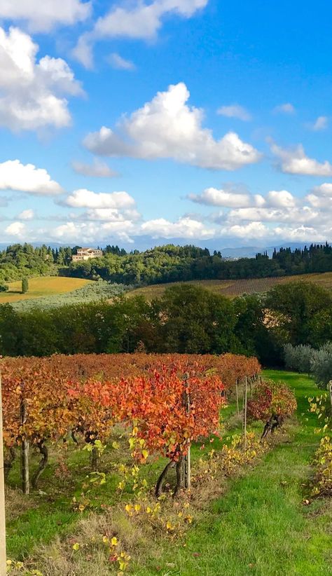 The Chianti region is one the Best places to visit in October in Tuscany #italytrip #lovefromtuscany Tuscany October, Italy In October, Italy October, Tuscany Landscape, Fall Colours, Tuscany Wedding, Tuscany Italy, Travel Board, Trip Ideas