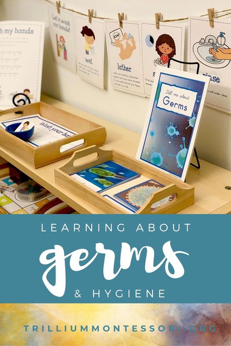 Learning About Germs and Hygiene - Trillium Montessori Germs Preschool Activities, Germs Preschool, Germs Lessons, Germs Activities, Healthy Habits Preschool, Preschool Tables, Hygiene Activities, Montessori Science, Montessori Color