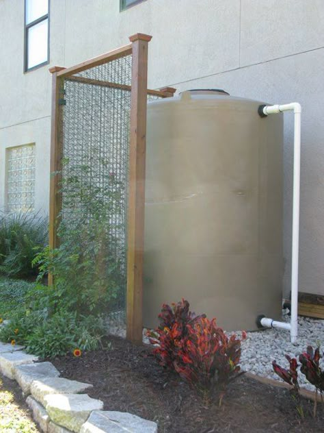 Rain Water Collection Diy, Rain Water Harvesting, Water Collection System, Water Catchment, Water From Air, Rain Harvesting, Greenhouse Design, Rainwater Collection, Water Harvesting