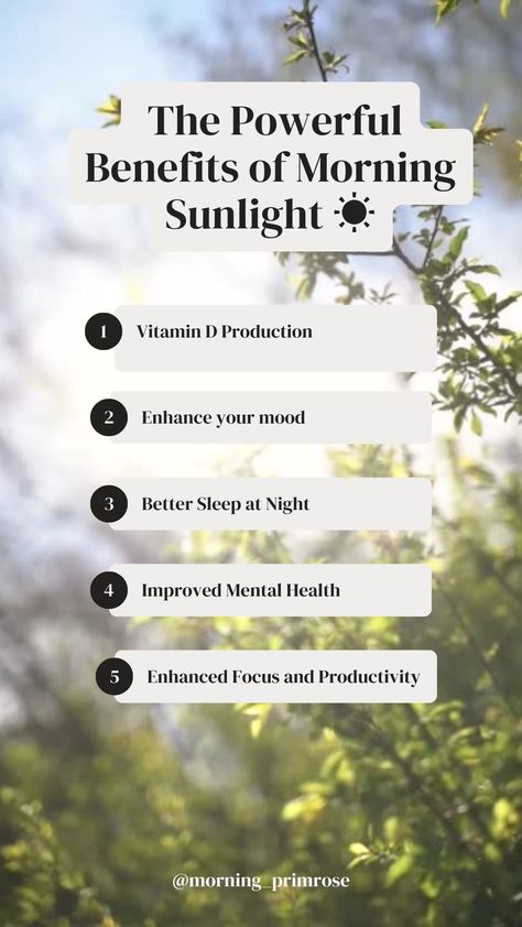 Benefits Of Sunlight Health, Benefits Of Morning Sunlight, Morning Sunlight Benefits, Sunshine Benefits, Sun Healing, Nature Benefits, Sun Allergy, Diet Schedule, Morning Sunlight