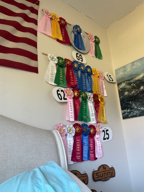 morgan horse show 2021 western pleasure Horse Show Ribbon Display, Ribbon Display Ideas, Show Ribbon Display, Horse Show Ribbons, Ribbon Display, Morgan Horse, Western Pleasure, Tack Room, Equestrian Life