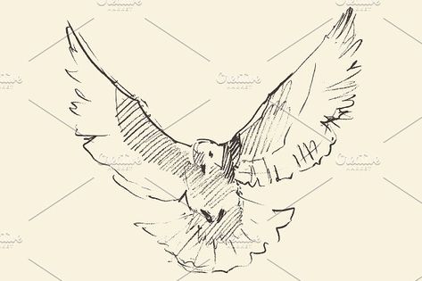 Dove Sketches, Pigeon Illustration, Birds Sketch, Freedom Drawing, Flocks Of Birds, Pigeon Tattoo, Dove Drawing, Wings Sketch, Freedom Bird