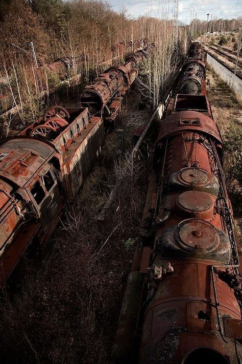 Places Train Yard, Magic Places, Urban Exploring, Abandoned Train, Railroad Photography, Old Trains, Abandoned Cars, Metroid, Urban Exploration