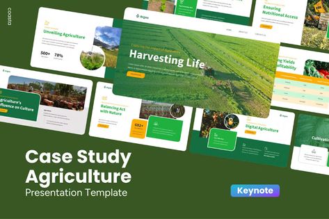 Case Study Agriculture - Keynote Template Incl. agriculture & study - Envato Elements Agriculture Presentation, Presentation Design Ideas, Power Point Templates, Power Point Presentation, Power Point Template, Web Layout Design, Keynote Presentation, Web Layout, Envato Elements