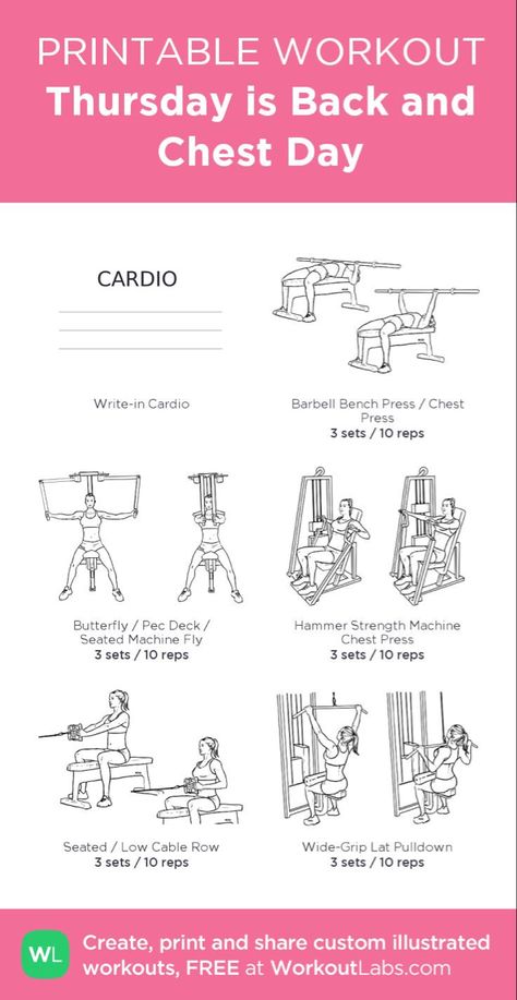 Strength Training Guide For Women, Chest Day Workout, Gym Workouts Machines, Thursday Workout, Weight Training Women, Strength Training Guide, Chest Day, Gym Workout Guide, Gym Workout Plan For Women