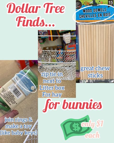 Bunny Supplies Organization, Free Roam Rabbit Set Up In Bedroom, Free Roam Bunny Set Up, Rabbits House, Dollar Tree Rabbit, Dollar Tree Toys, Indoor Rabbit House, Rabbit Wire, Tree Rat