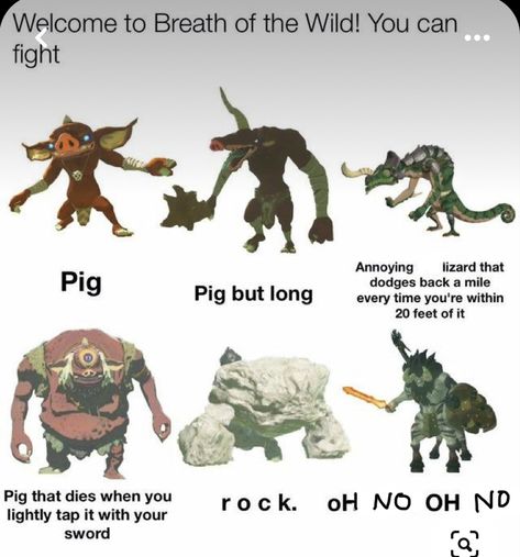 Zelda Botw Creatures, Breath Of The Wild Funny Memes, Zelda Breath Of The Wild Funny, Botw Memes Hilarious, Legend Of Zelda Breath Of The Wild Funny, Legend Of Zelda Botw Memes Funny, Botw Memes Funny, Zelda Memes Funny, Legend Of Zelda Breath Of The Wild