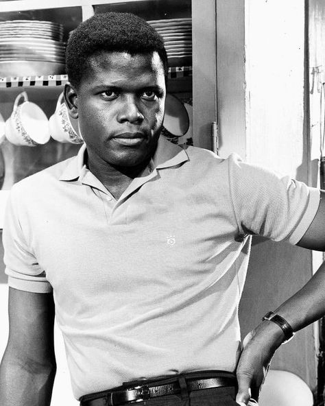 Sidney Poitier, 1960. - 9GAG Sidney Poitier, Don Pedro, Black Actors, Black Hollywood, Black Person, Actrices Hollywood, We Are The World, Movie Photo, Classic Films